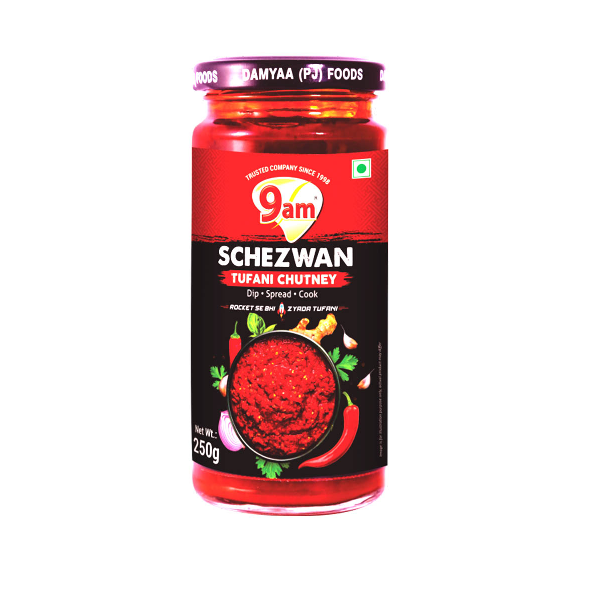 9am Schezwan Chutney - 250g