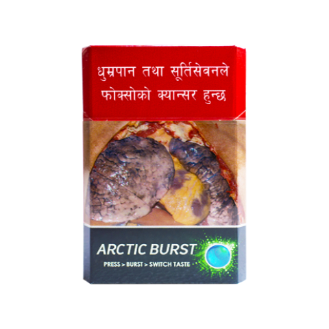 Surya 24 Carat Arctic Burst (20pcs) - 1pkt