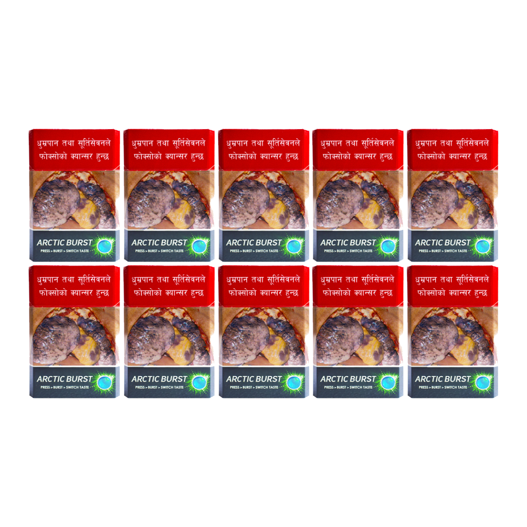 Surya 24 Carat Arctic Burst (20pcs) - 10pkt