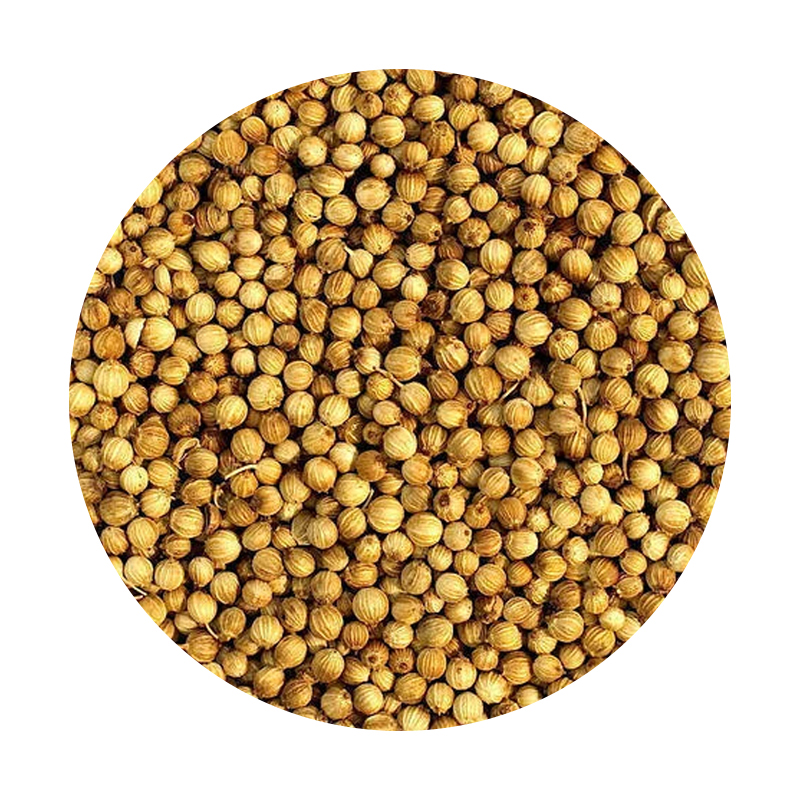 Whole Coriander Seed (Dhaniya Dana) - 400g