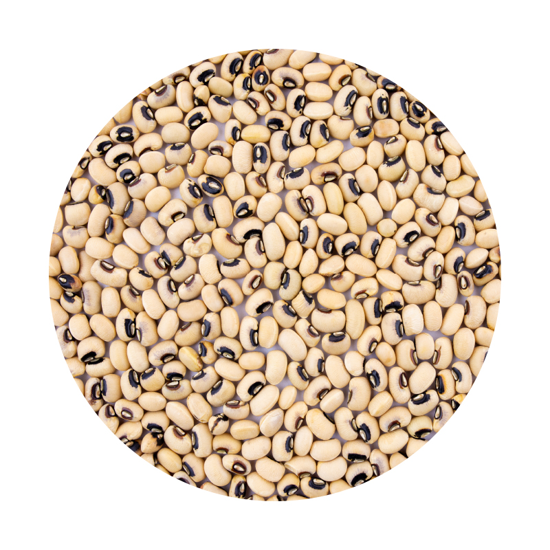 Seto Bodi (White Beans) - 1kg