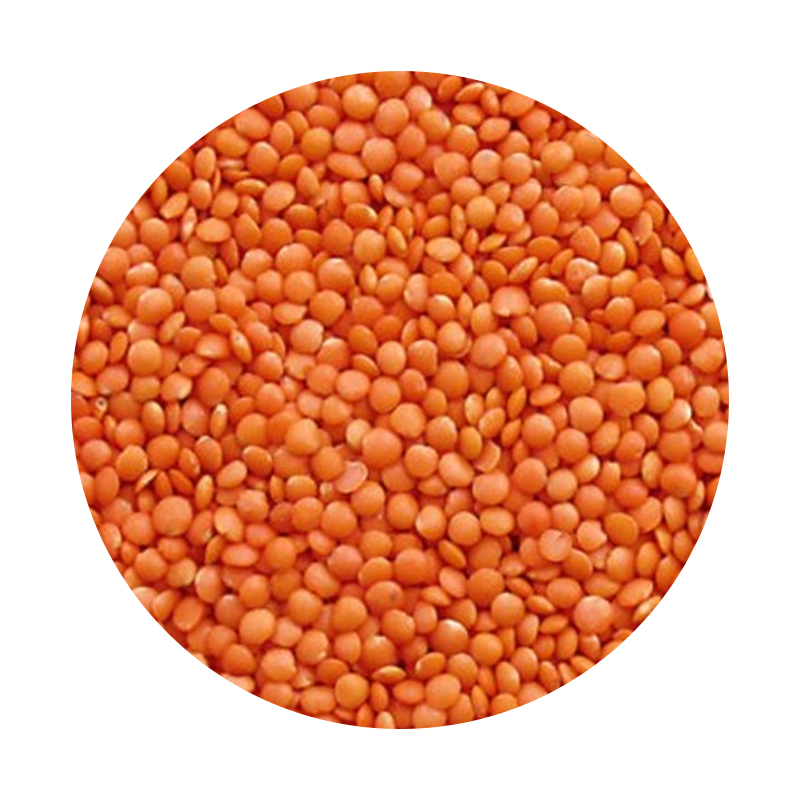 Musuro Dal (Small) - 1kg