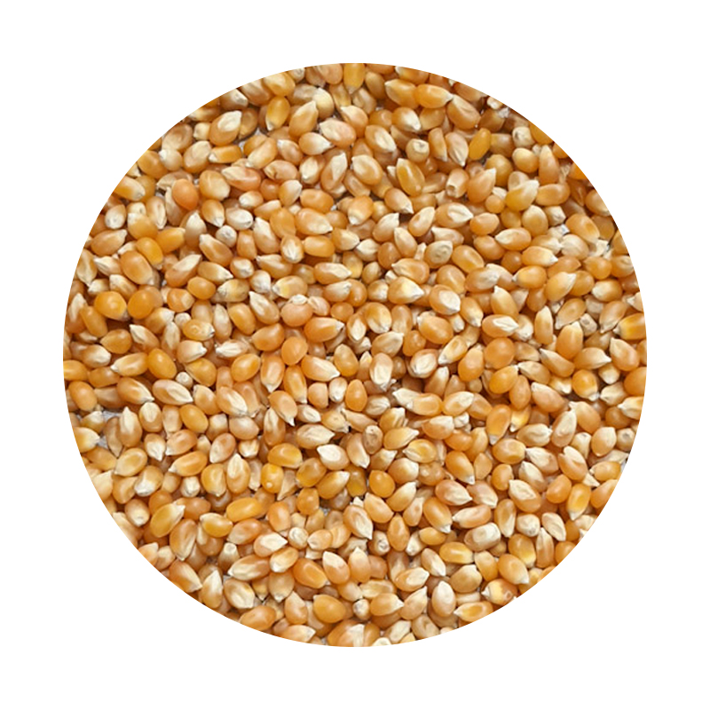 Murali Makai (Pop Corn) - 1kg