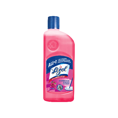 Lizol Disinfectant Surface & Floor Cleaner (Floral) - 500ml