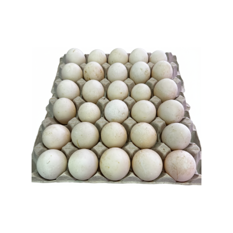 Duck Egg (Haas ko Aanda) - 30pcs